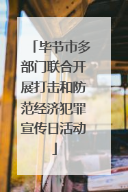 毕节市多部门联合开展打击和防范经济犯罪宣传日活动