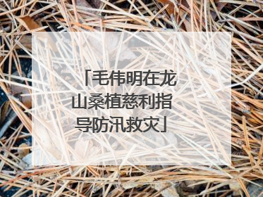 毛伟明在龙山桑植慈利指导防汛救灾