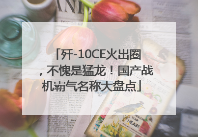 歼-10CE火出圈，不愧是猛龙！国产战机霸气名称大盘点
