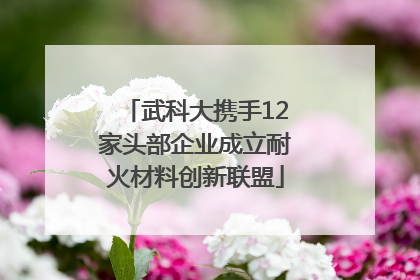 武科大携手12家头部企业成立耐火材料创新联盟
