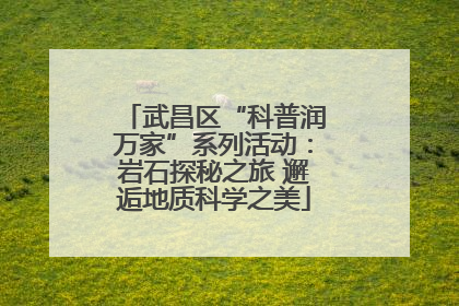 武昌区“科普润万家”系列活动：岩石探秘之旅 邂逅地质科学之美