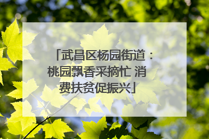 武昌区杨园街道：桃园飘香采摘忙 消费扶贫促振兴