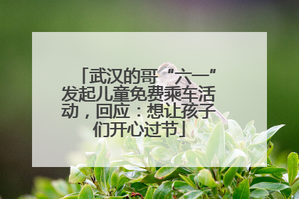 武汉的哥“六一”发起儿童免费乘车活动，回应：想让孩子们开心过节