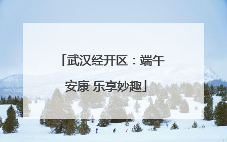 武汉经开区：端午安康 乐享妙趣