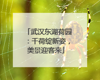 武汉东湖荷园：千荷绽新姿，美景迎客来