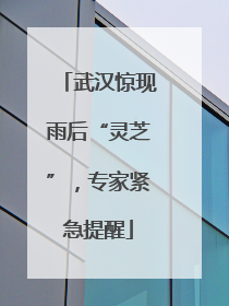 武汉惊现雨后“灵芝”，专家紧急提醒