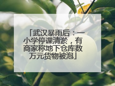 武汉暴雨后：一小学停课清淤，有商家称地下仓库数万元货物被泡