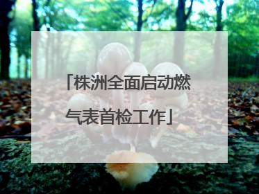 株洲全面启动燃气表首检工作
