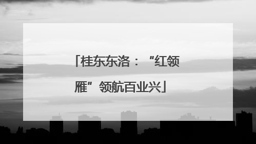 桂东东洛：“红领雁”领航百业兴