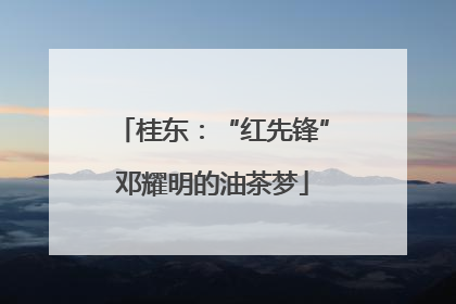 桂东：“红先锋”邓耀明的油茶梦