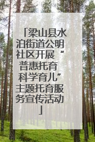 梁山县水泊街道公明社区开展“普惠托育 科学育儿”主题托育服务宣传活动