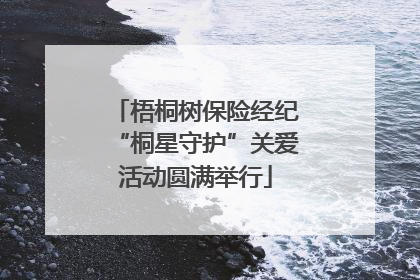 梧桐树保险经纪“桐星守护”关爱活动圆满举行