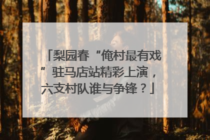 梨园春“俺村最有戏”驻马店站精彩上演，六支村队谁与争锋？