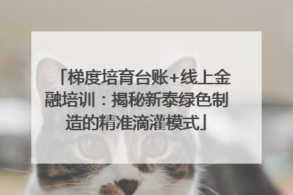 梯度培育台账+线上金融培训：揭秘新泰绿色制造的精准滴灌模式