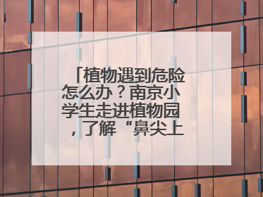 植物遇到危险怎么办？南京小学生走进植物园，了解“鼻尖上的博物学”