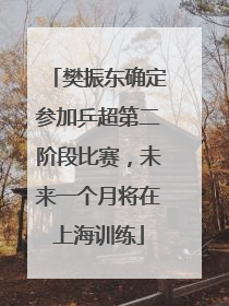 樊振东确定参加乒超第二阶段比赛，未来一个月将在上海训练