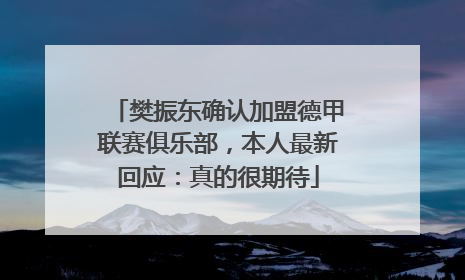 樊振东确认加盟德甲联赛俱乐部，本人最新回应：真的很期待