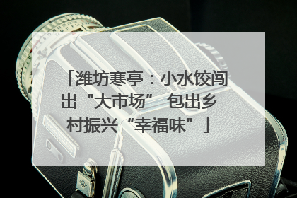 潍坊寒亭：小水饺闯出“大市场” 包出乡村振兴“幸福味”