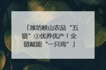 潍坊峡山农品“五链”③优养优产！全链赋能“一只鸡”