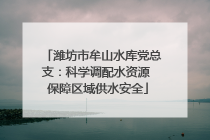 潍坊市牟山水库党总支：科学调配水资源 保障区域供水安全