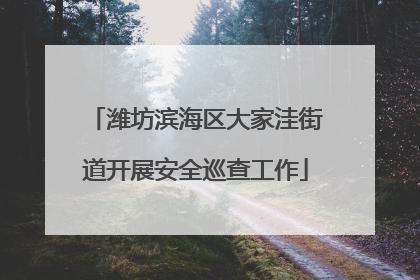 潍坊滨海区大家洼街道开展安全巡查工作