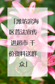潍坊滨海区普法宣传进超市 千份资料送群众