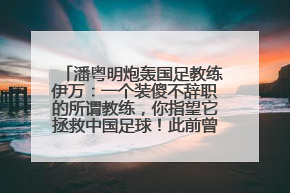 潘粤明炮轰国足教练伊万：一个装傻不辞职的所谓教练，你指望它拯救中国足球！此前曾多次发文评价国足