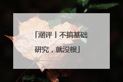 潮评丨不搞基础研究，就没根