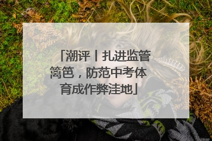 潮评丨扎进监管篱笆，防范中考体育成作弊洼地
