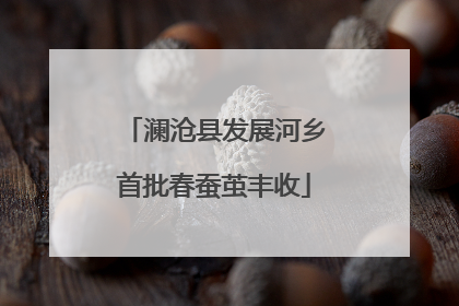 澜沧县发展河乡首批春蚕茧丰收