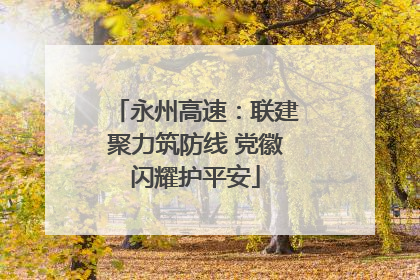 永州高速：联建聚力筑防线 党徽闪耀护平安