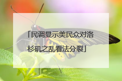 民调显示美民众对洛杉矶之乱看法分裂