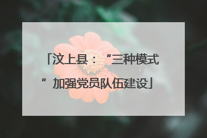 汶上县：“三种模式”加强党员队伍建设