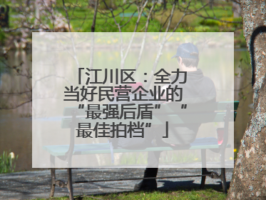 江川区：全力当好民营企业的“最强后盾”“最佳拍档”
