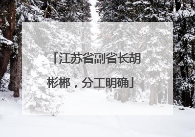 江苏省副省长胡彬郴，分工明确