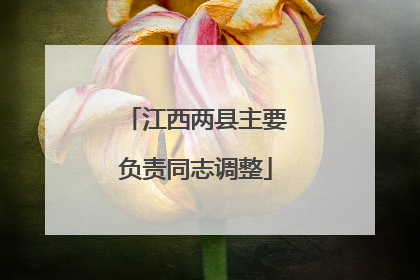 江西两县主要负责同志调整