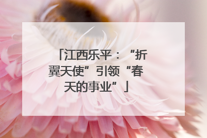江西乐平：“折翼天使”引领“春天的事业”