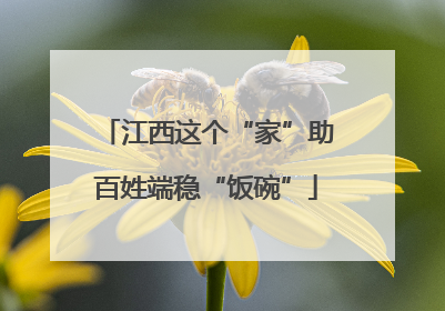 江西这个“家”助百姓端稳“饭碗”