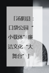 汤阴县：口袋公园“小载体”廉洁文化“大舞台”
