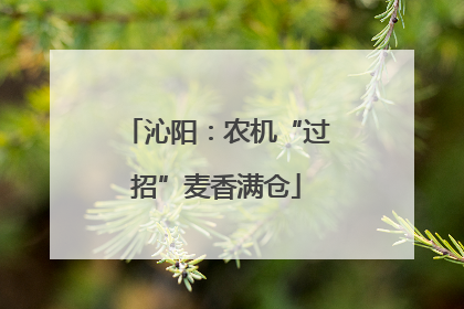 沁阳：农机“过招”麦香满仓