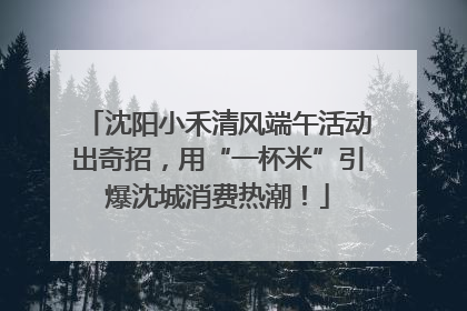 沈阳小禾清风端午活动出奇招，用“一杯米”引爆沈城消费热潮！