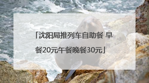 沈阳局推列车自助餐 早餐20元午餐晚餐30元