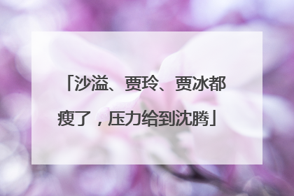 沙溢、贾玲、贾冰都瘦了，压力给到沈腾