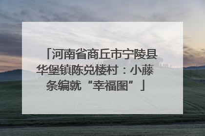 河南省商丘市宁陵县华堡镇陈兑楼村：小藤条编就“幸福图”