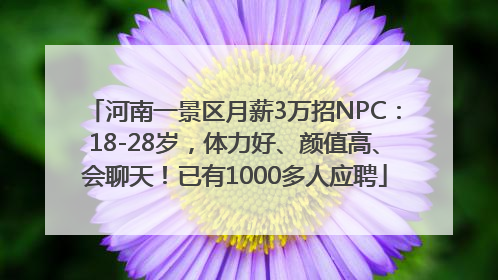 河南一景区月薪3万招NPC：18-28岁，体力好、颜值高、会聊天！已有1000多人应聘