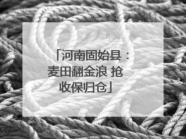 河南固始县：麦田翻金浪 抢收保归仓