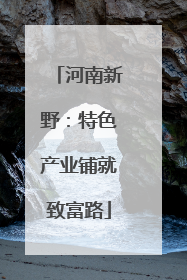 河南新野：特色产业铺就致富路