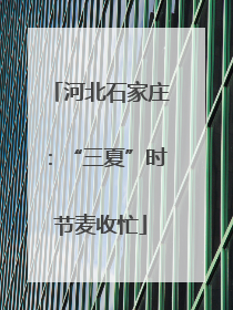 河北石家庄：“三夏”时节麦收忙
