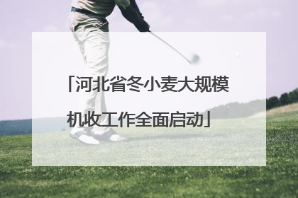 河北省冬小麦大规模机收工作全面启动