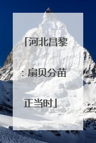 河北昌黎：扇贝分苗正当时